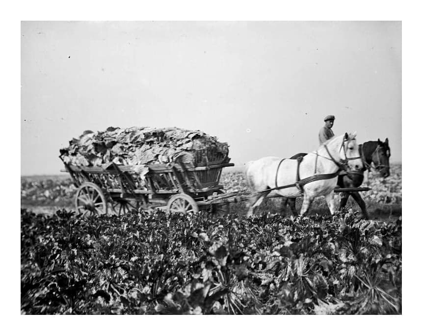 La plus ancienne biotechnologie de l’humanité