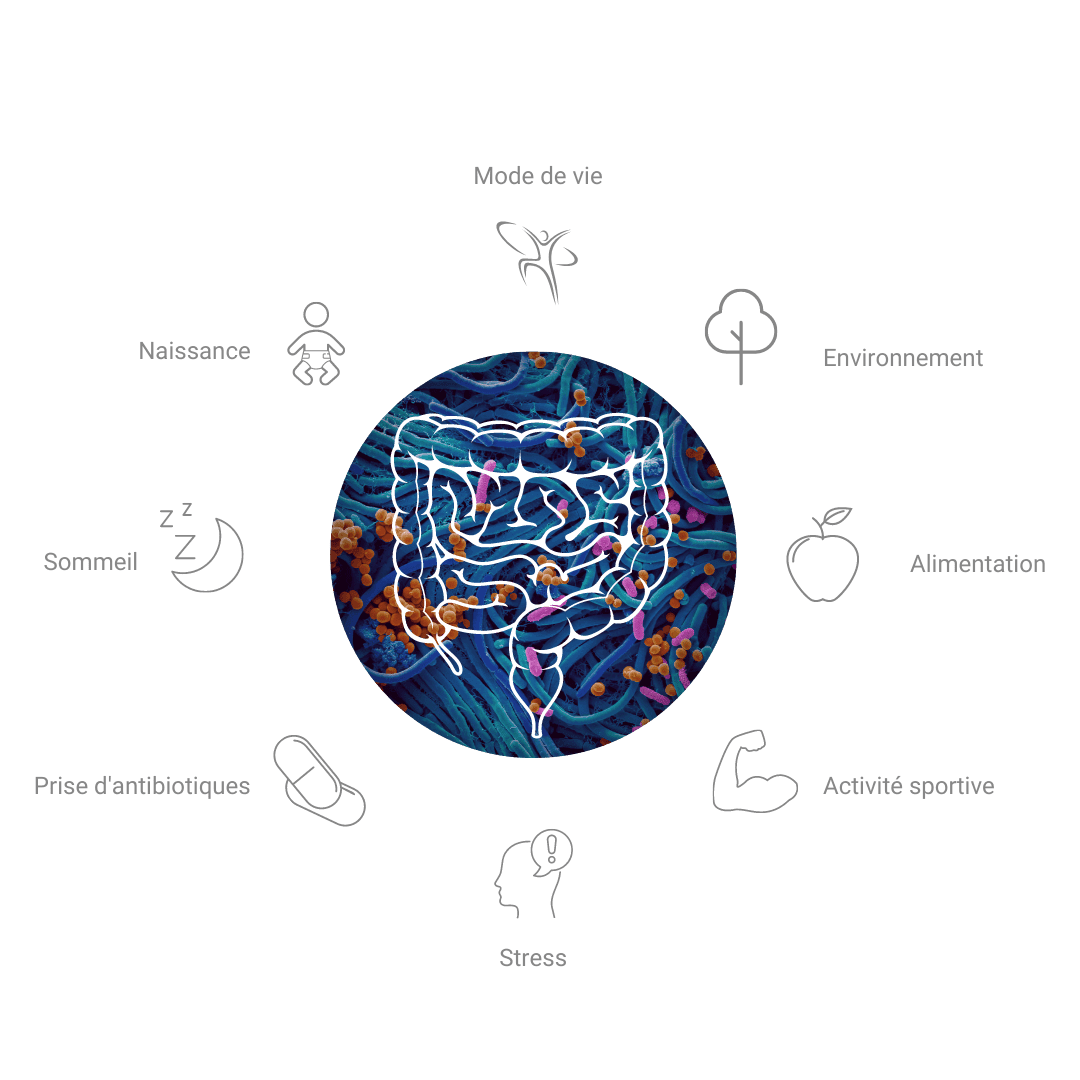 Lactofermentation, Fermentierra et l’analyse du microbiote Nahibu: Get your shit straight!